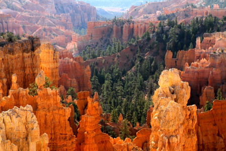 Photo of Bryce Canyon National Park in morning light
